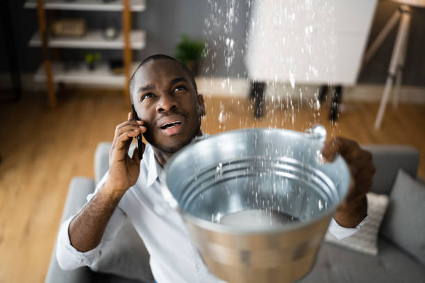 Best Residential water damage restoration  in Parma, OH