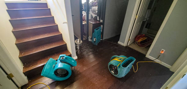 Best Water damage cleanup near me  in Parma, OH