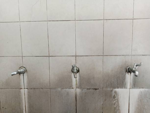 Best Water damage restoration near me  in Parma, OH