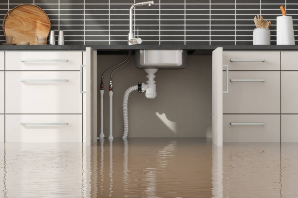 Best Water damage restoration near me  in Parma, OH