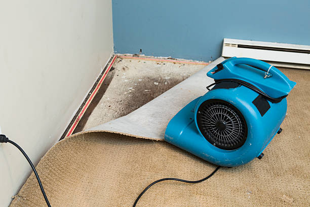 Best Basement water damage restoration  in Parma, OH